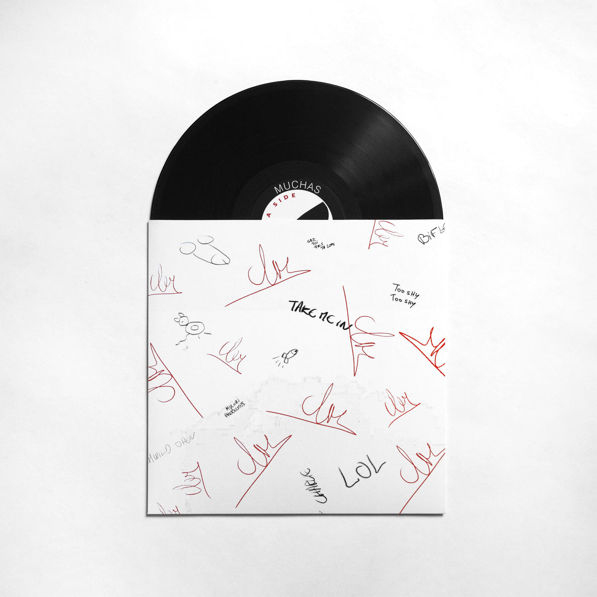 Vinyl Muchas Problemas 2