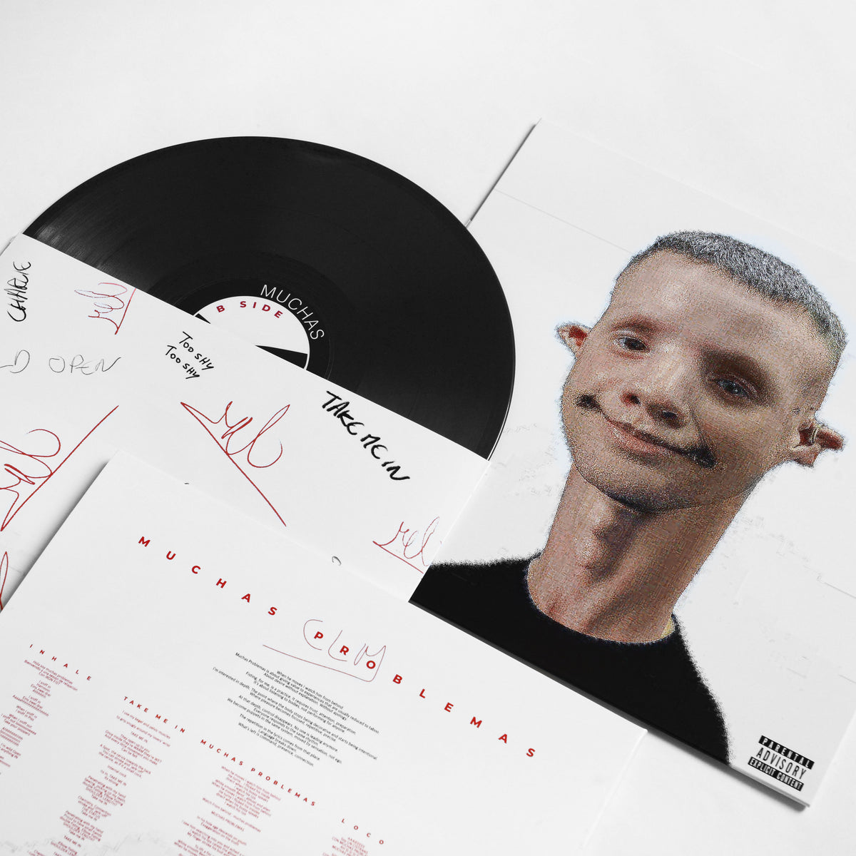Vinyl Muchas Problemas 2